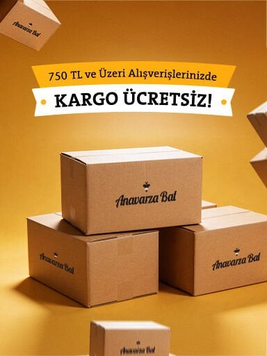 Ücretsiz Kargo